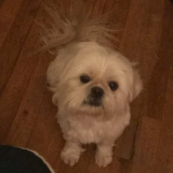 Meet your Posher, Crystal - Picture 7 of 10